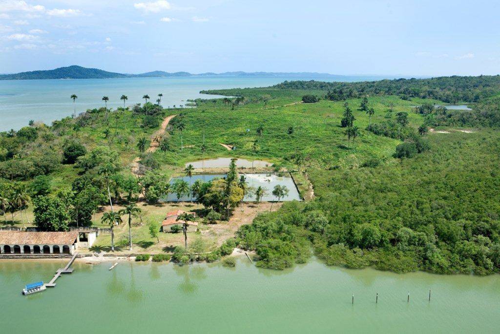 cajaiba-island-bahia-brazil